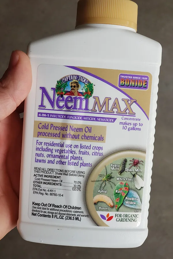 Neem oil - avoid powdery mildew in the spring
