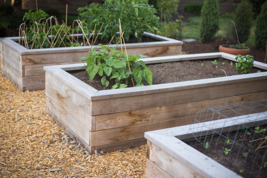 How To Prepare Raised Beds For Planting In The Spring