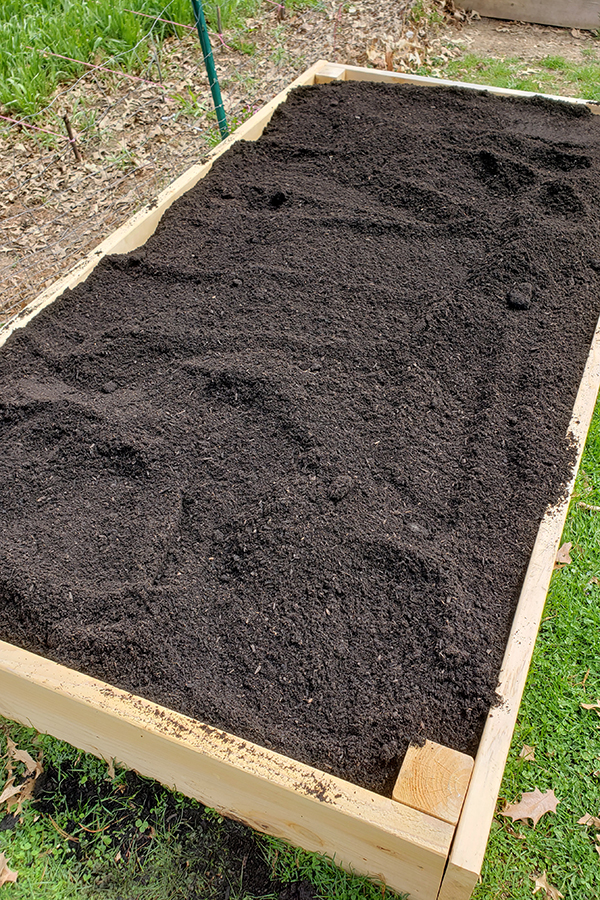 A raised wooden bed with lots of black compost on top. 