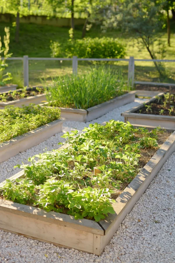 Raised Garden Bed Prep