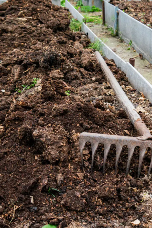 Adding compost