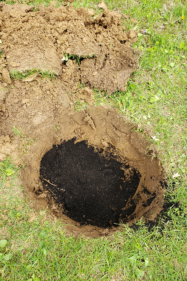 A large hole with compost added. 