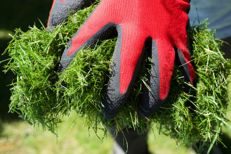 Touch Grass Gloves
