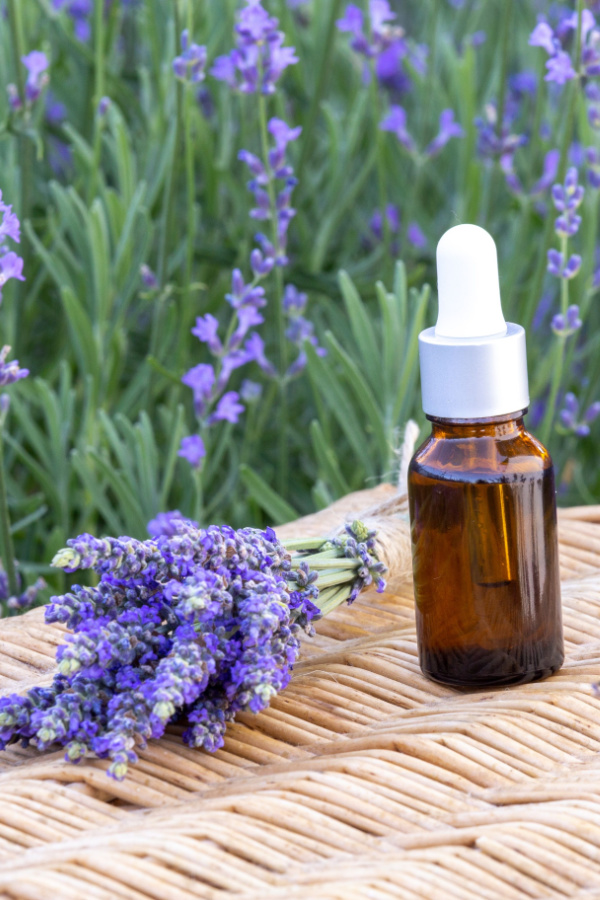a pile of lavender and a bottle of oil sitting on a basket in front of a field of lavender plants