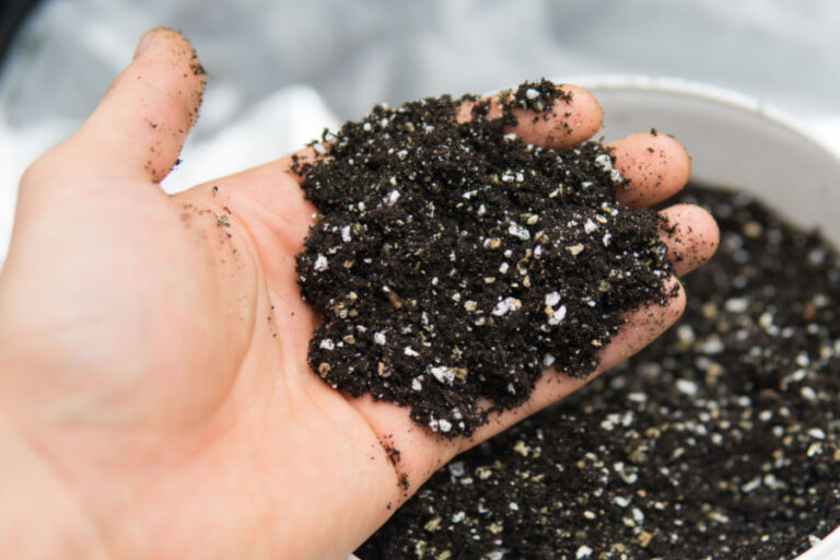 How To Make The Best Potting Soil Around - Without Peat Moss!