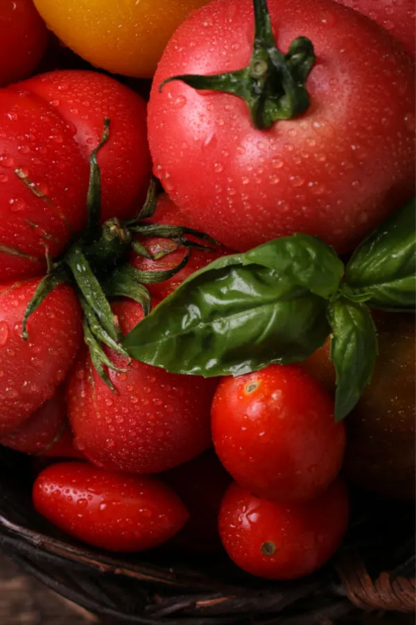 tomatoes and basil