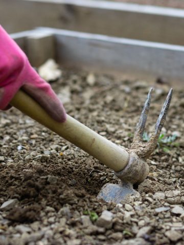 prepare raised beds for spring planting