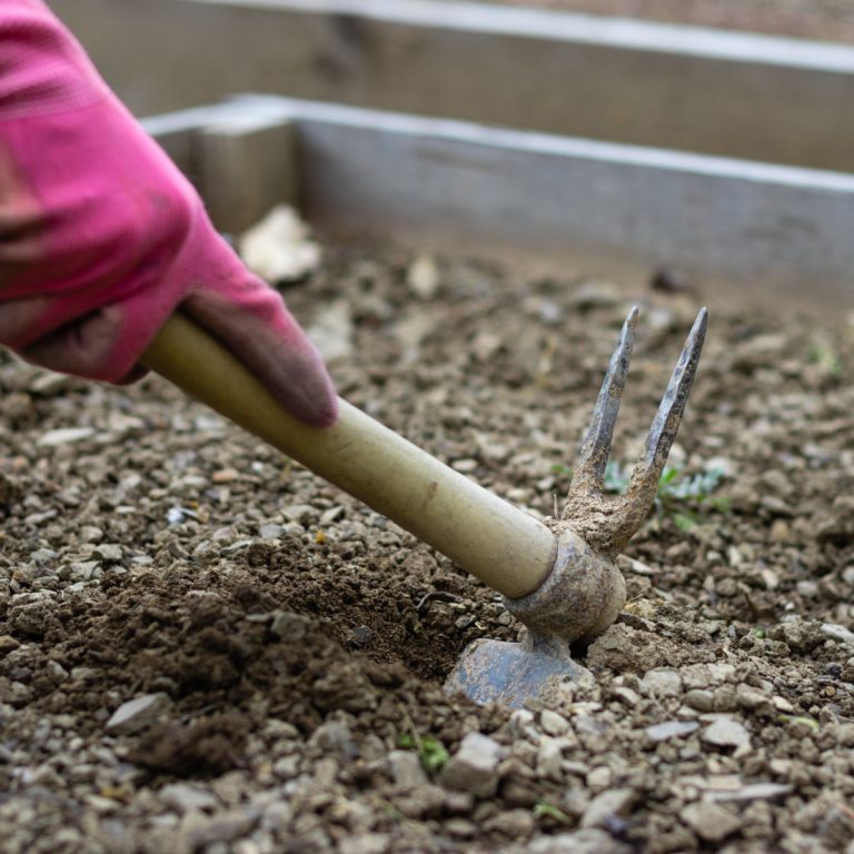 prepare raised beds for spring planting