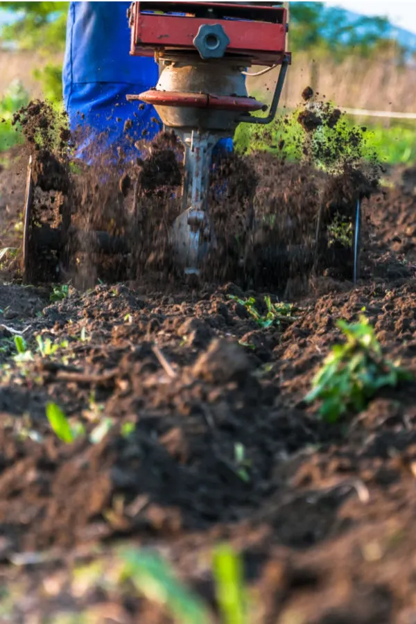 how to stop weeds for good