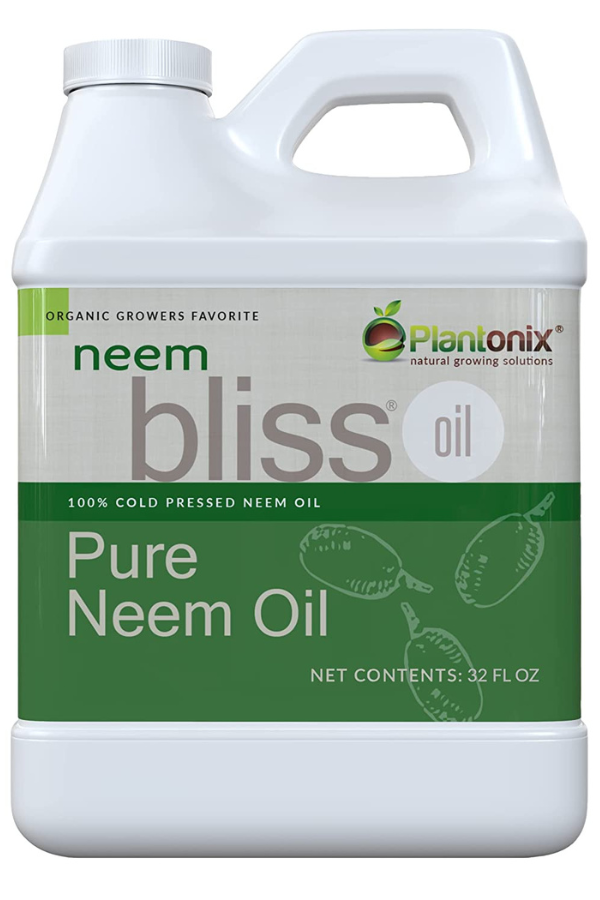 A bottle of Neem Bliss neem oil - organic pest control