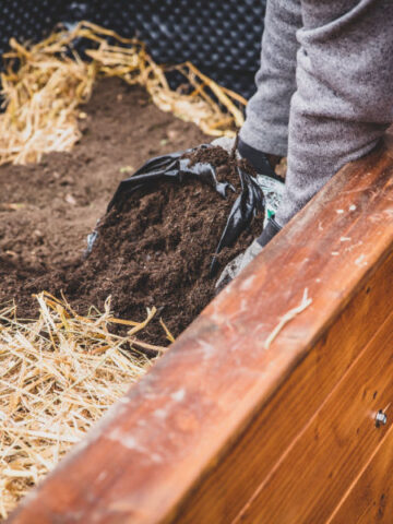 The best way to fill raised beds