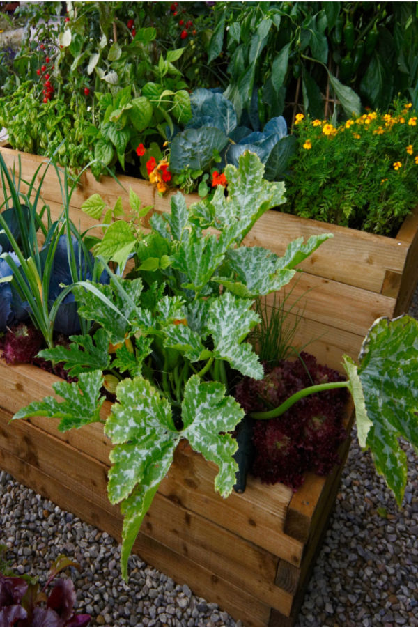 how to fill raised beds