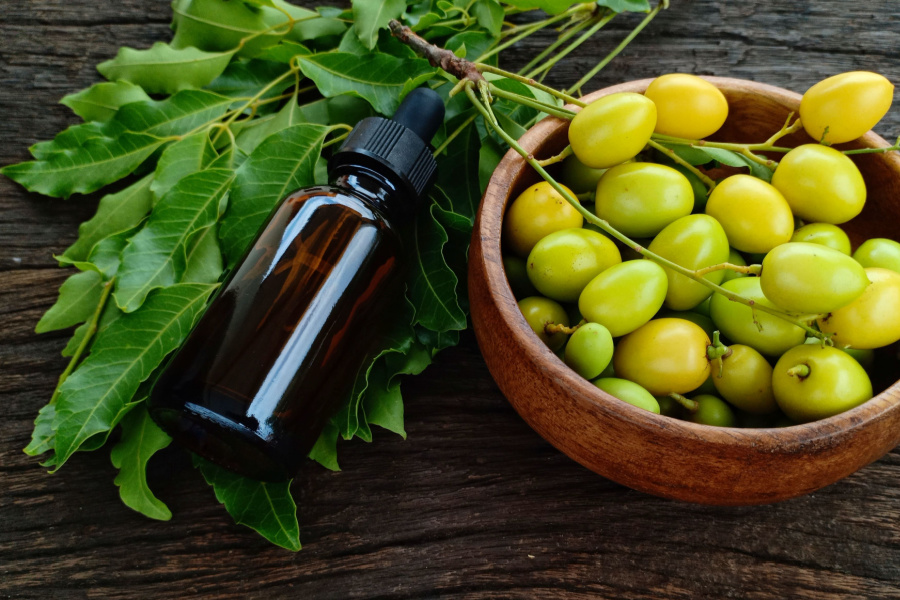 How To Use Neem Oil On Plants Control Pests Organically   Neem Oil Feature 