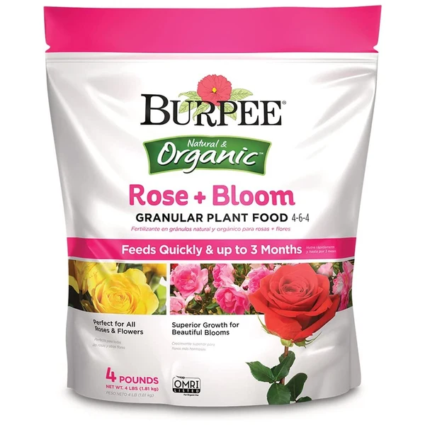 rose fertilizer