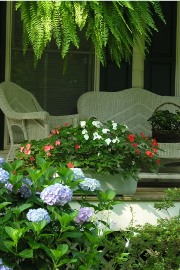 best porch plants