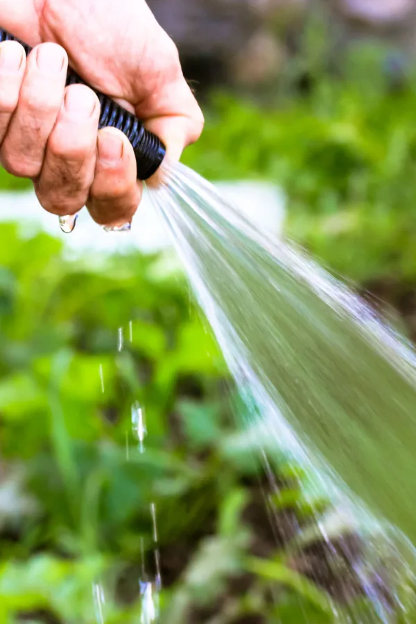 A hand creating a strong spray of water