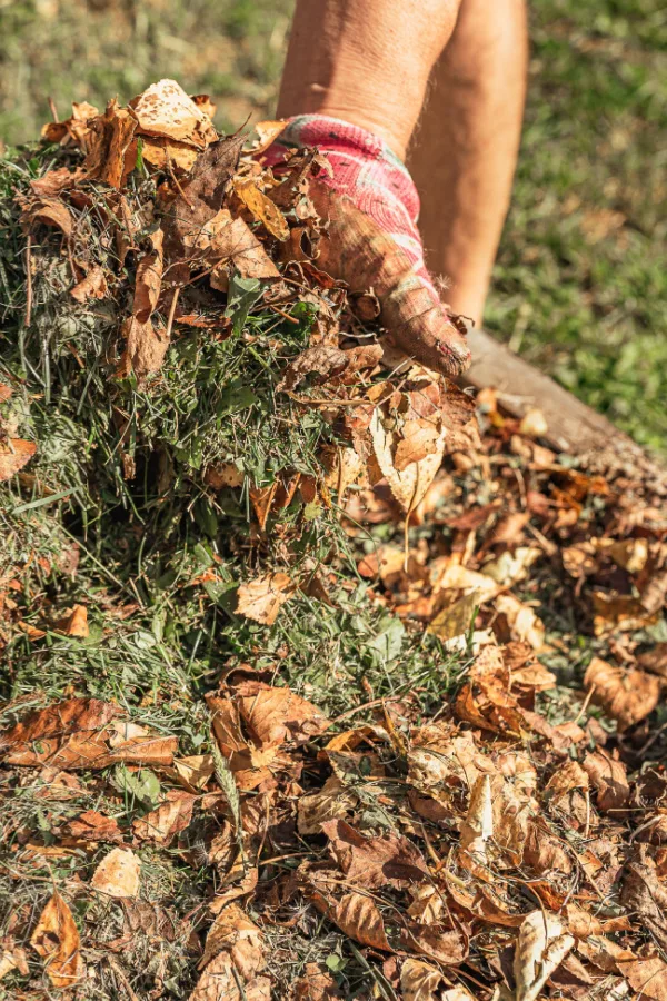 A hand holding leaves and grass clippings