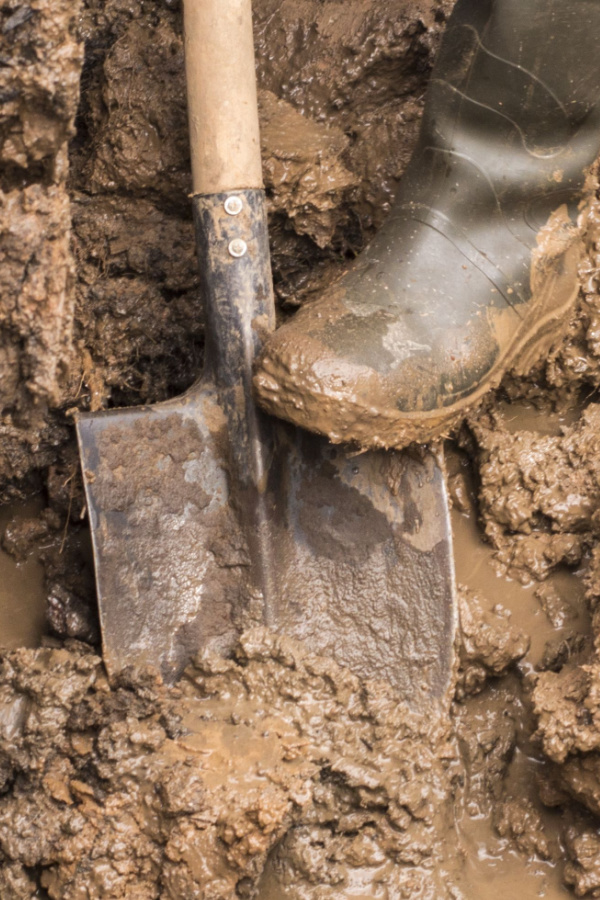 A boot pushing a shovel into wet clay soil. - how to know when to water