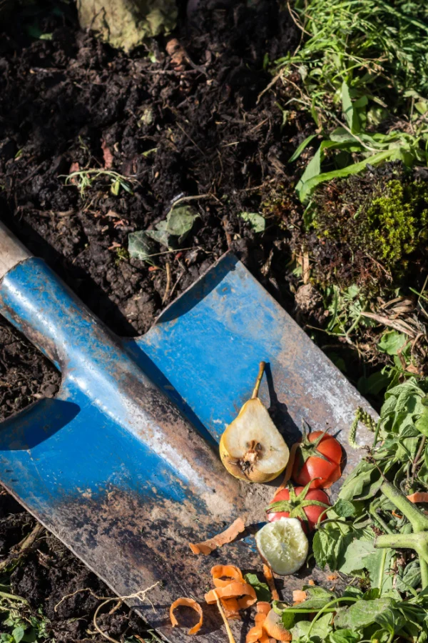 A blue shovel with kitchen scraps digging in a compost pile. 