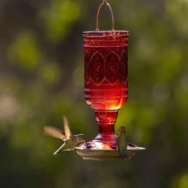 hummingbird feeder