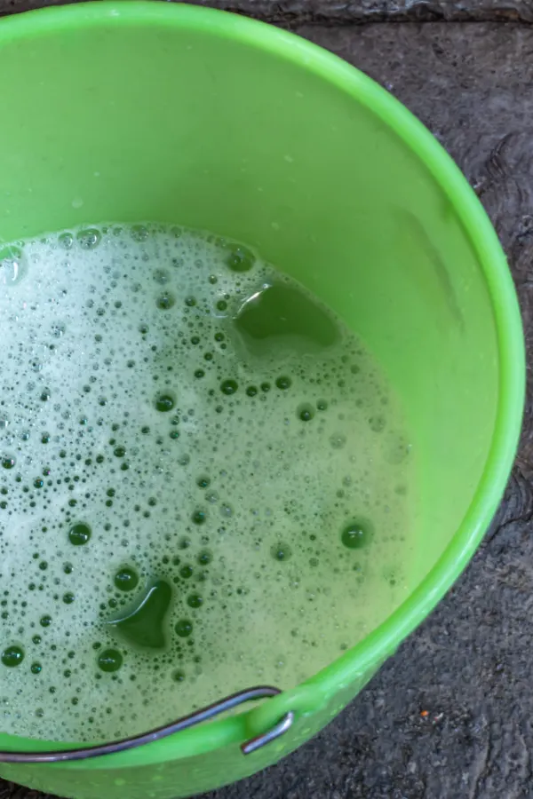 A green bucket of soapy water