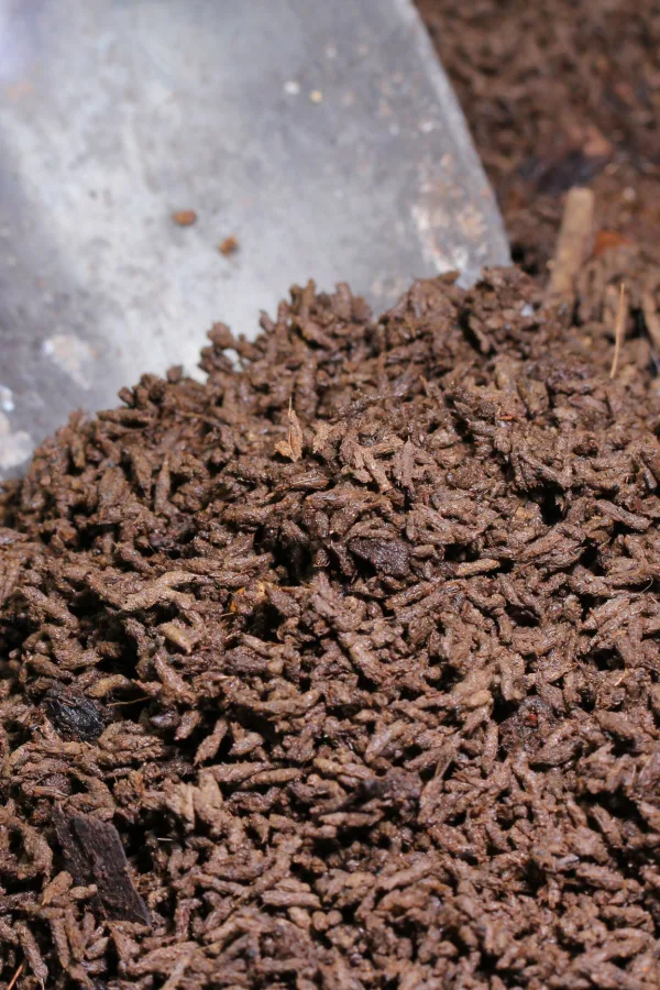 A shovel in a pile of worm castings. 