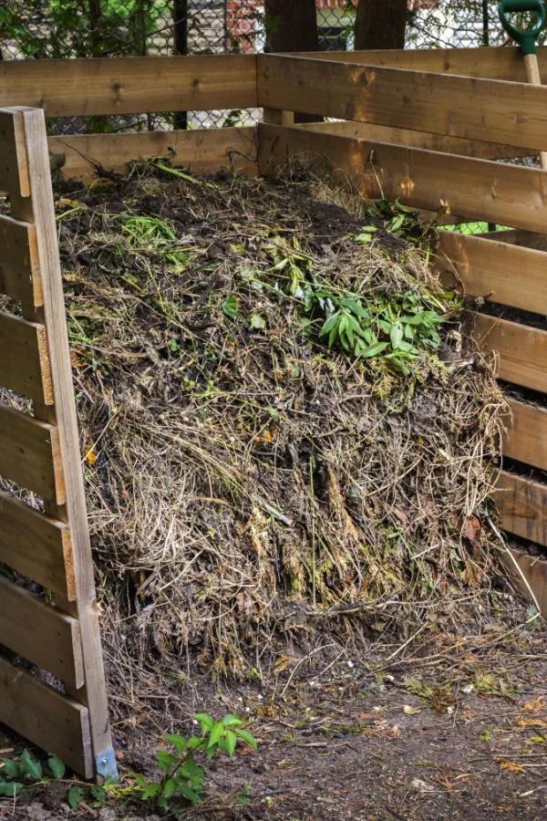 A home compost bin.