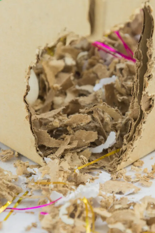 A cardboard box that has been chewed up by mice.