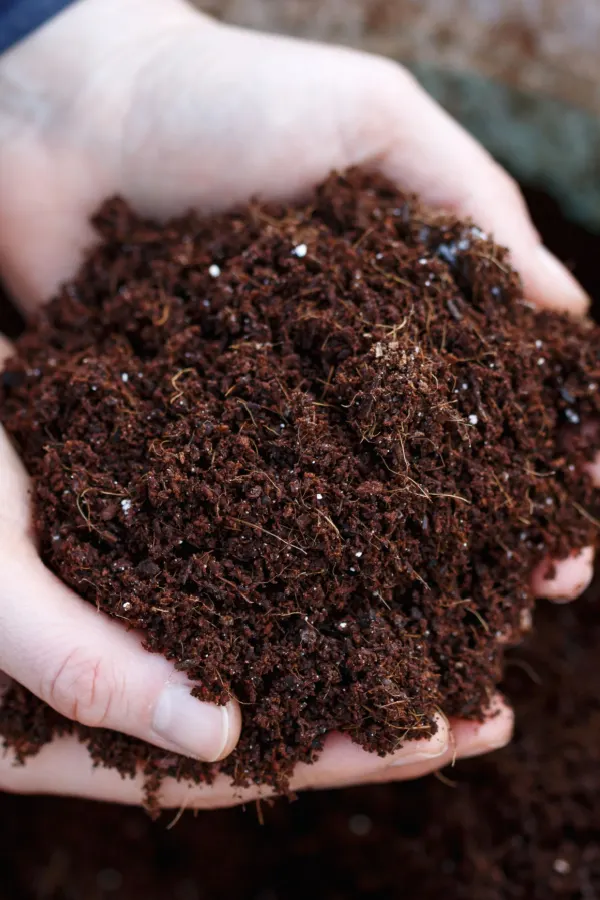 Two hands holding nice loose soil