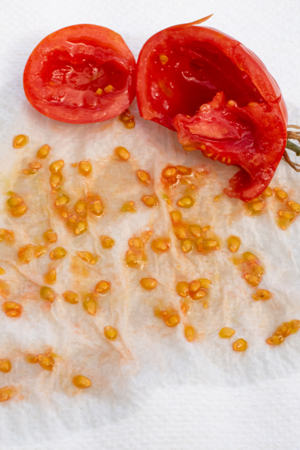 A tomato opened up on a napkin with the seeds spread out showing the jelly-substance.