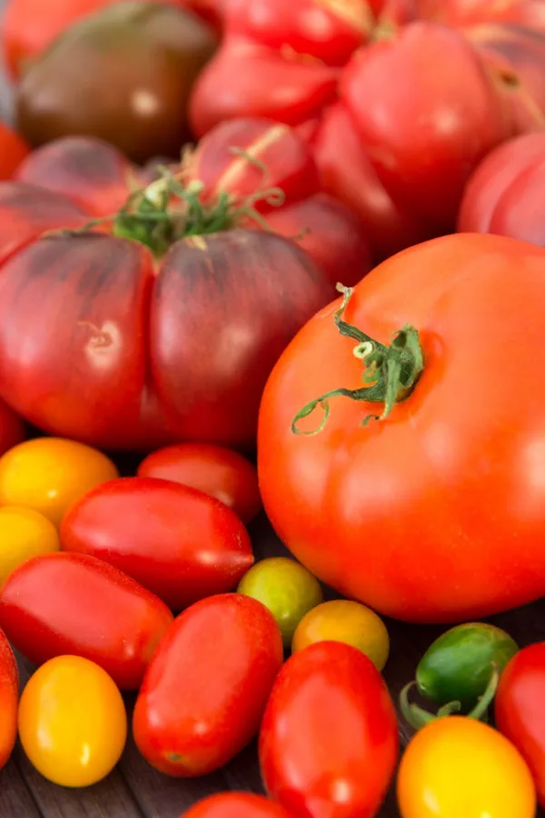 A pile of different tomato varieties and colors