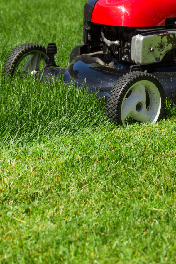A red lawn mower cutting grass to a really short length - get rid of crabgrass in the summer