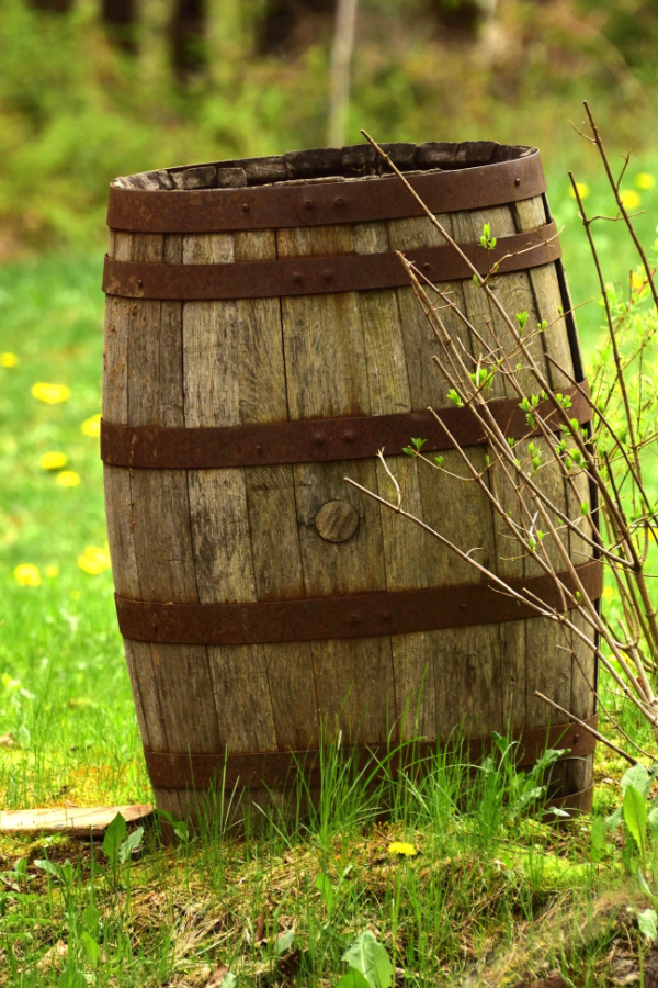 An old wooden barrel can be used for composting 