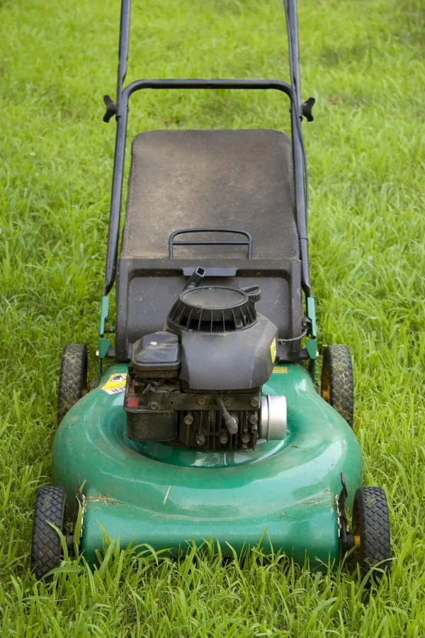A green push mower with a black bagger.