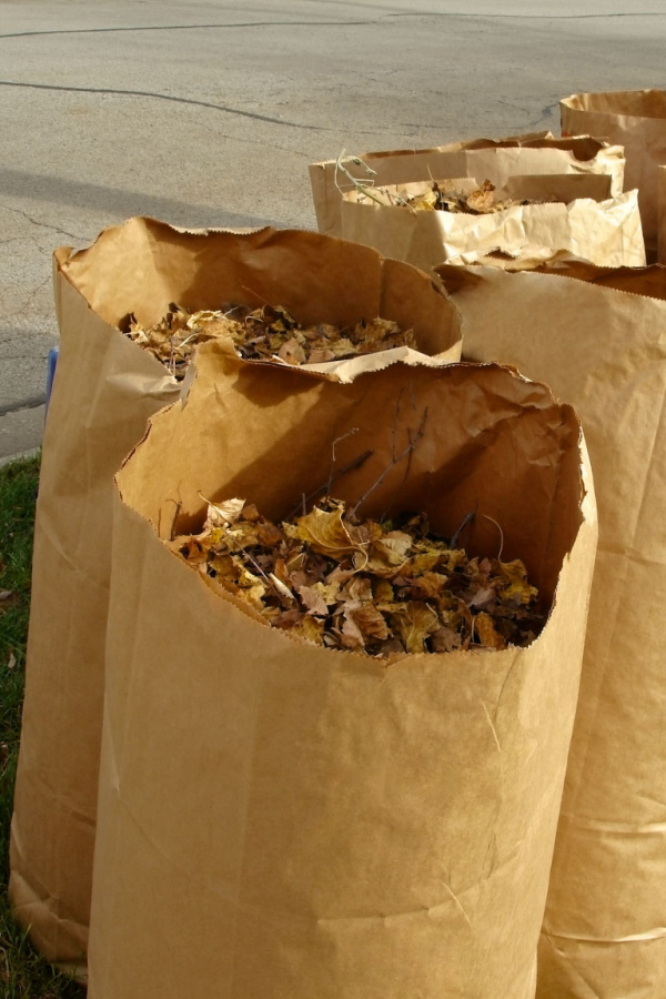 brown bags full of dead leaves
