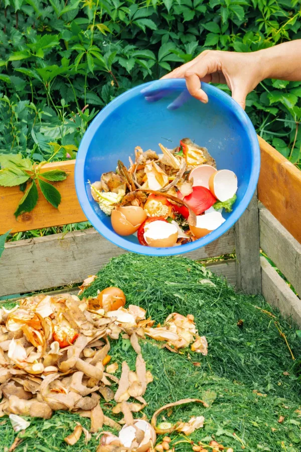 Grass clippings and food scraps are perfect for fall compost piles.