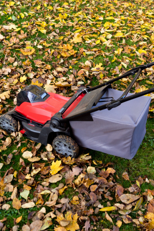 A red push mower driving over leaves on a yard.