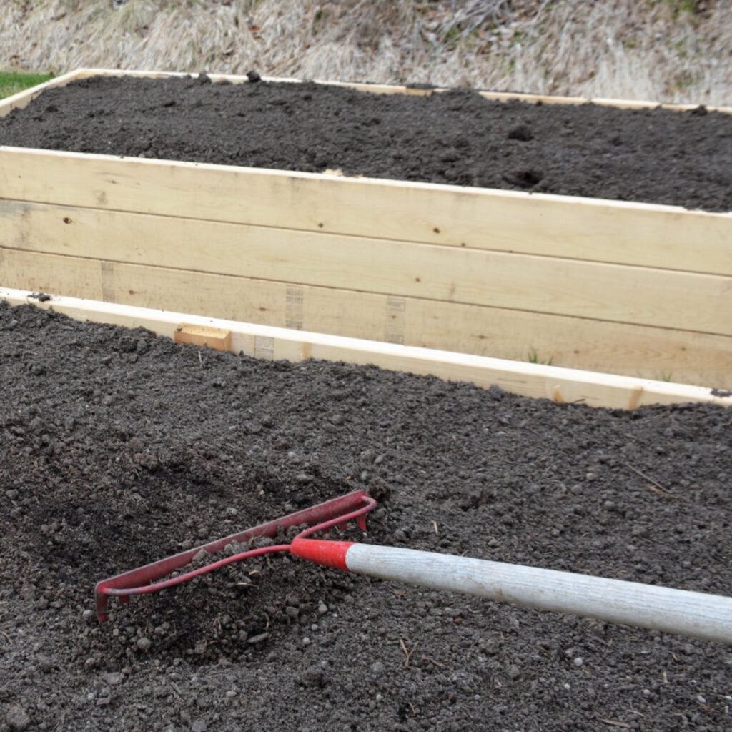 how to rejuvenate raised bed soil in the fall