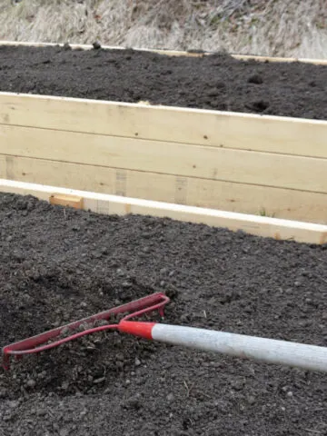 how to rejuvenate raised bed soil in the fall
