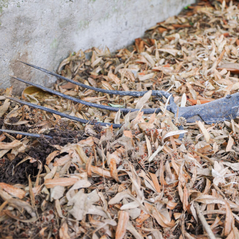 A pile of leaf mold with a rake on top