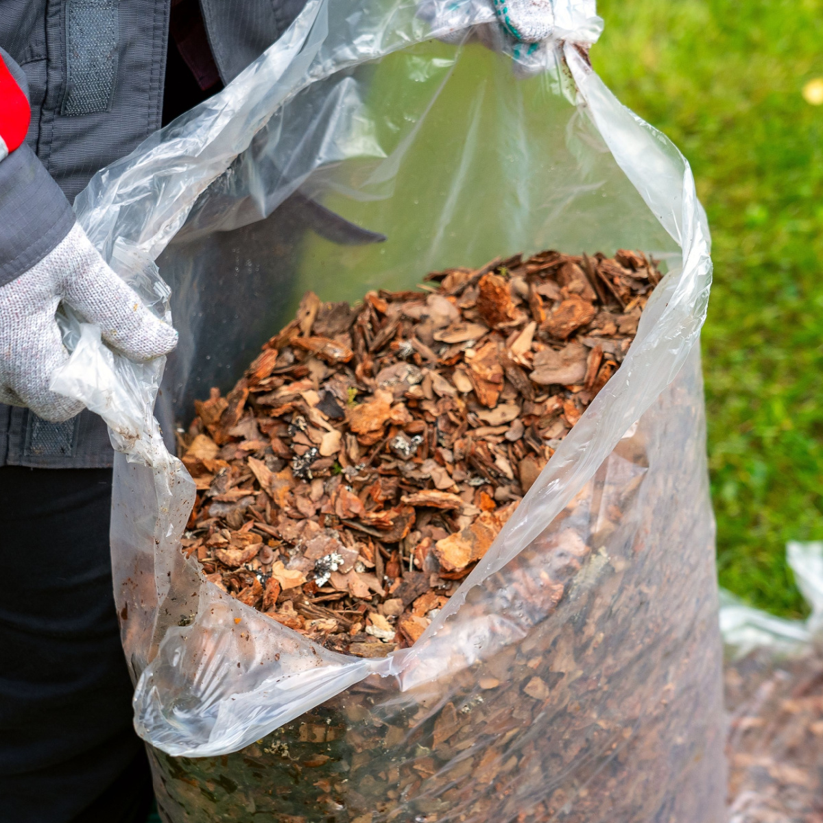 Best Way To Bag Leaves