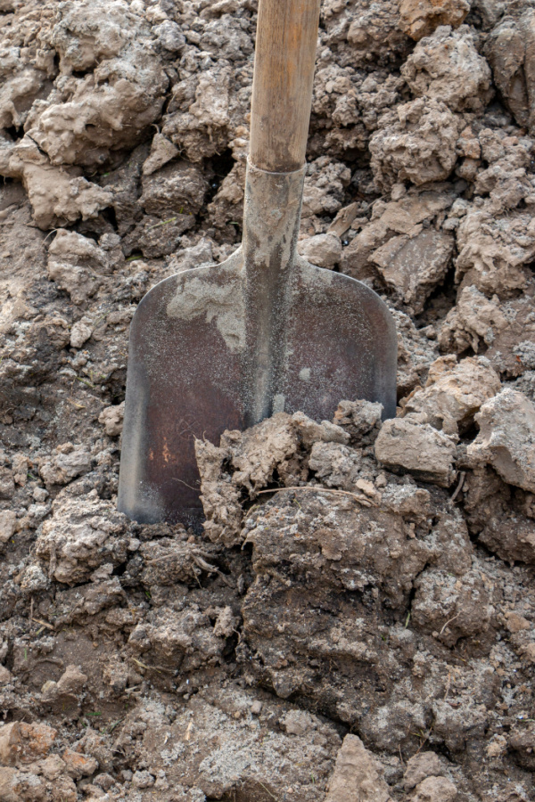 Clay-like soil with a shovel in it