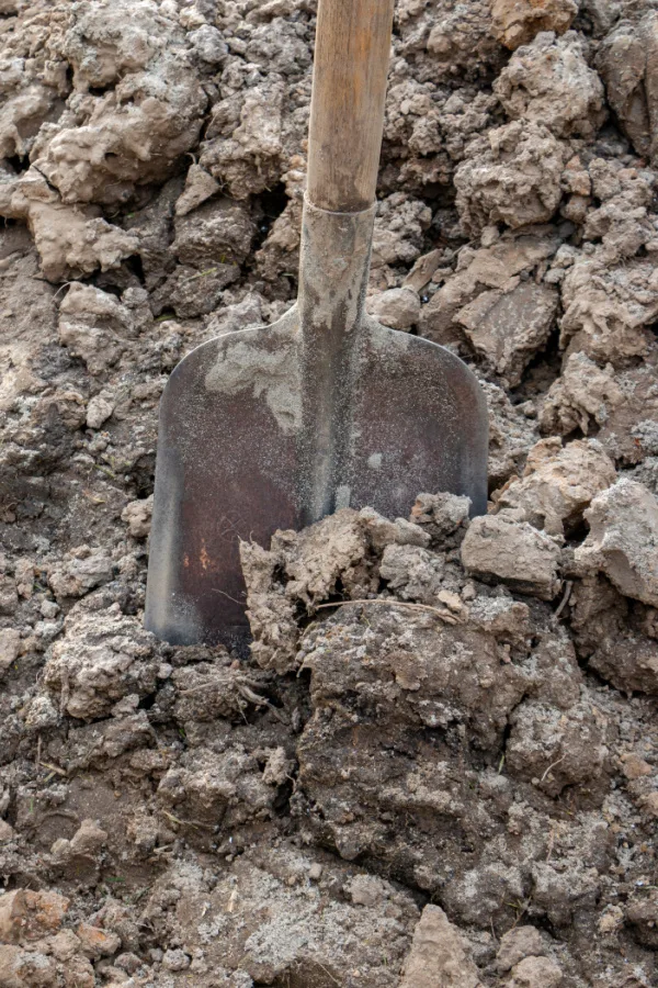 Clay-like soil with a shovel in it