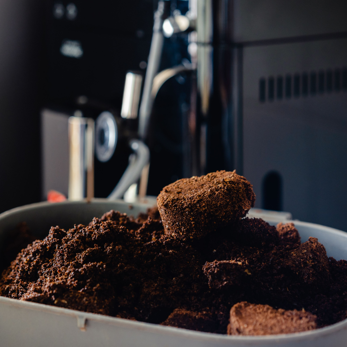 use coffee grounds in the winter