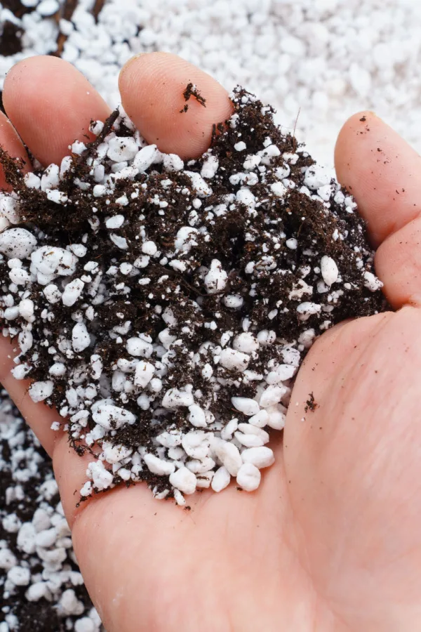 A hand holding perlite and soil mixed together.