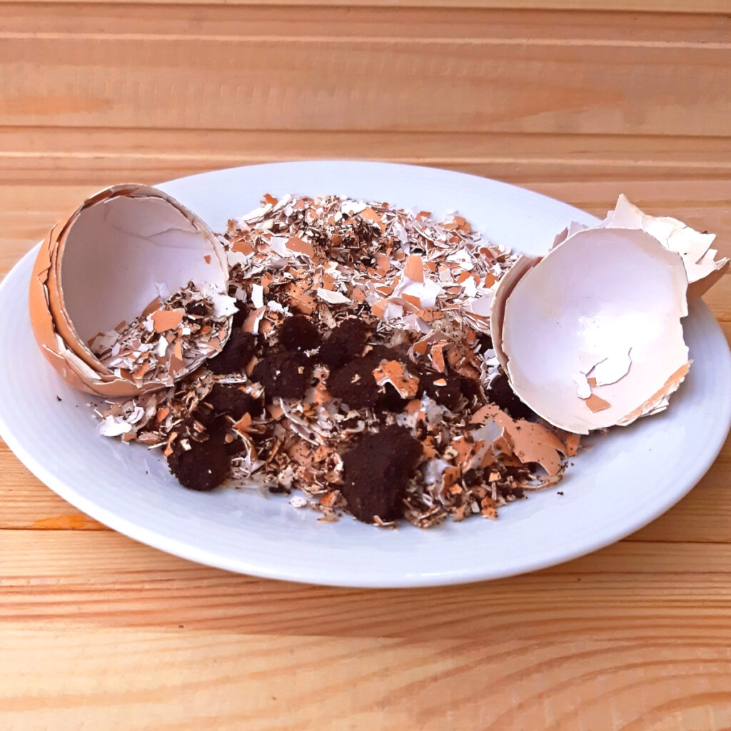 A plate with egg shells and coffee grounds on it. 