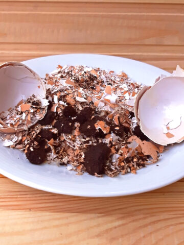 Used egg shells and coffee grounds sitting on a while plate.