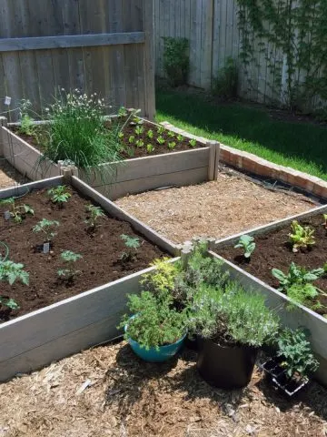 A small backyard turned into a Victory Garden space.