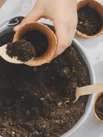 at home seed starting soil