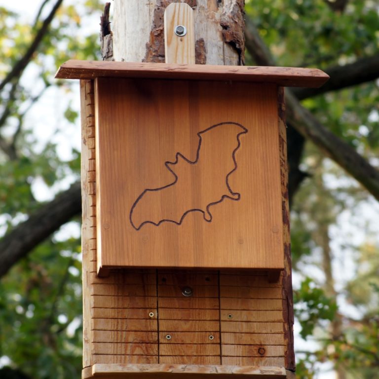 A bat house